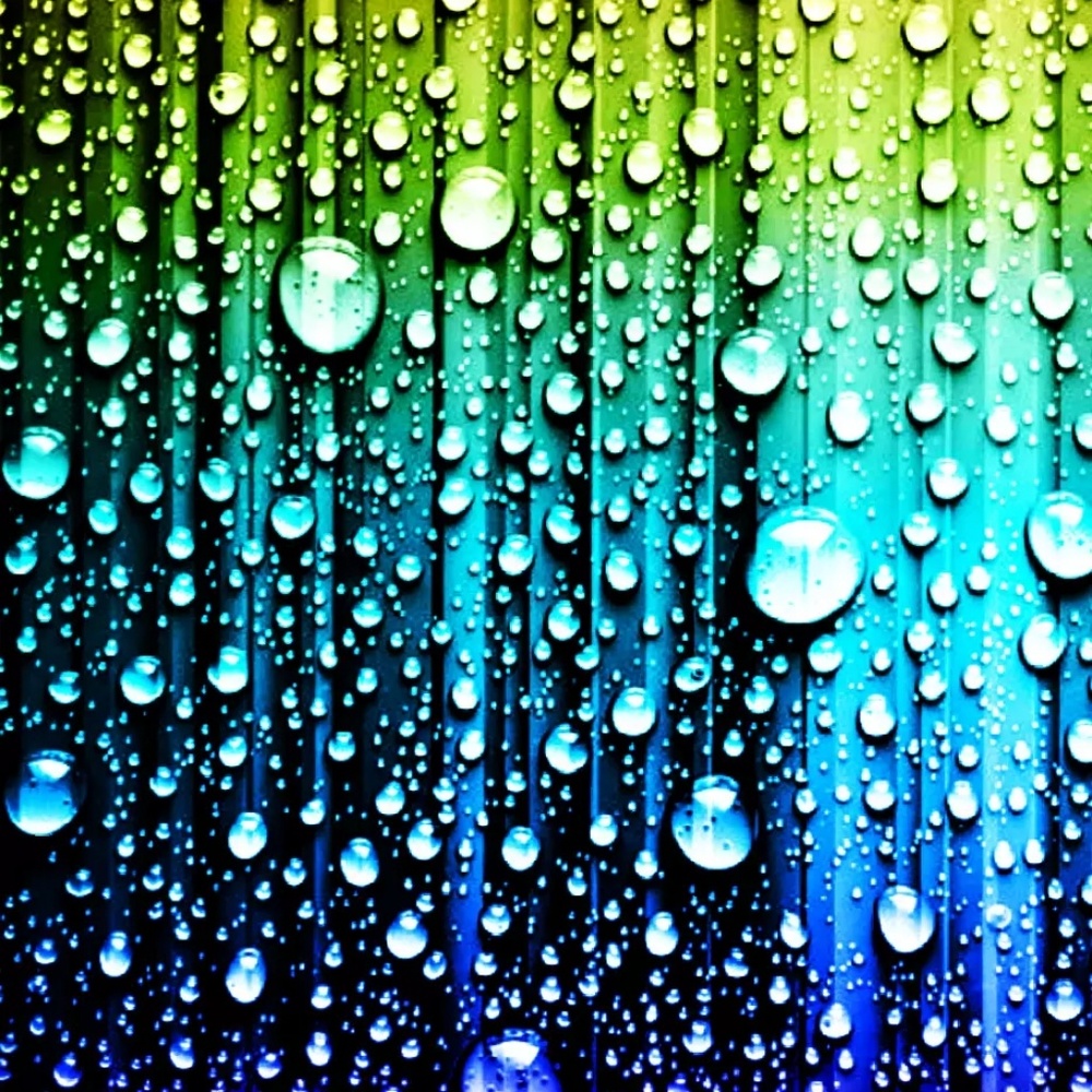 Meet your Posher, Mariesa